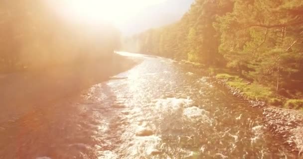 Low altitude flight over fresh fast mountain river with rocks at sunny summer morning. — Stock Video