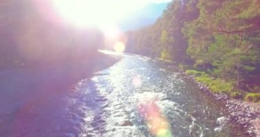 Güneşli yaz sabahında kayalarla birlikte taze, hızlı dağ nehri üzerinde alçak irtifa uçuşu..