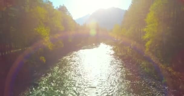 Low altitude flight over fresh fast mountain river with rocks at sunny summer morning. — Stock Video