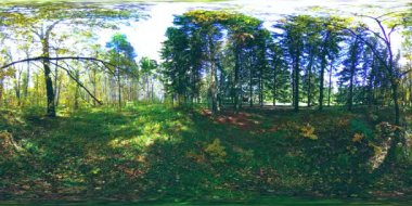 Bir şehir parkının UHD 4K 360 VR Sanal Gerçekliği. Sonbaharda ya da yaz gününde ağaçlar ve yeşil çimenler