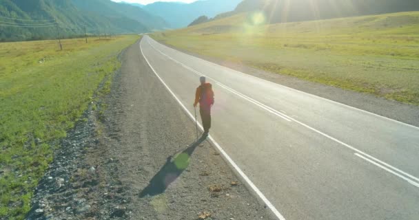 Flight over hitchhiker tourist walking on asphalt road. Huge rural valley at summer day. Backpack hiking guy. — Stock Video