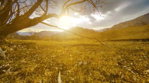 Lapso de tempo da árvore da morte e grama amarela seca na paisagem montanhosa com nuvens e raios de sol. Movimento deslizante horizontal — Vídeo de Stock