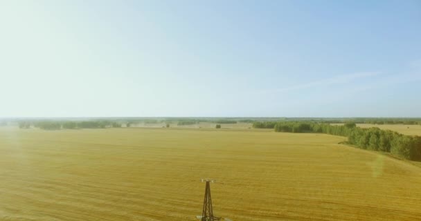 Vertikaler Bewegungsflug in der Nähe von Hochspannungsmasten und Hochspannungsleitungen im grünen und gelben Feld — Stockvideo