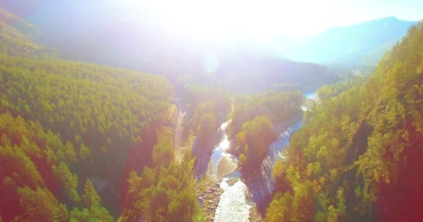 Μέση πτήση αέρα πάνω από φρέσκο ποτάμι βουνό και λιβάδι σε ηλιόλουστο πρωί του καλοκαιριού. Αγροτικός χωματόδρομος παρακάτω. — Αρχείο Βίντεο