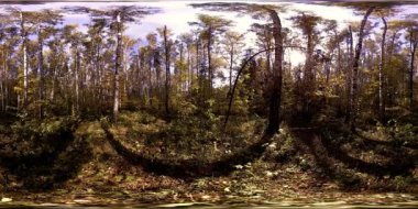 Bir şehir parkının UHD 4K 360 VR Sanal Gerçekliği. Sonbaharda ya da yaz gününde ağaçlar ve yeşil çimenler