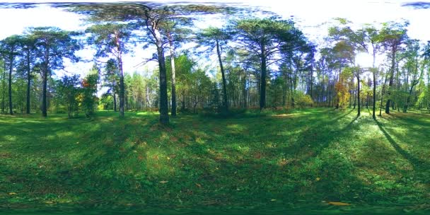 UHD 4K 360 VR Realidad virtual de un área recreativa del parque de la ciudad. Árboles y hierba verde en el día de otoño o verano — Vídeo de stock