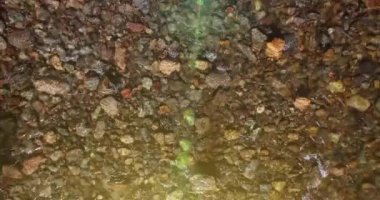 Güneşli yaz sabahında temiz ve taze bir dağ nehri üzerinde uçuşun ortasındayız. Üst görünüm ve yatay hareket