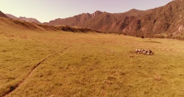 Vol au-dessus de chevaux sauvages troupeau sur prairie. Montagnes printanières nature sauvage. Liberté concept écologie. — Video