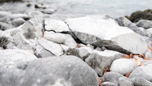 Dolly-Slider-Aufnahme des plätschernden Wassers in einem Gebirgsfluss in Waldnähe. Nasse Felsen und Sonnenstrahlen. Horizontale stetige Bewegung. — Stockvideo