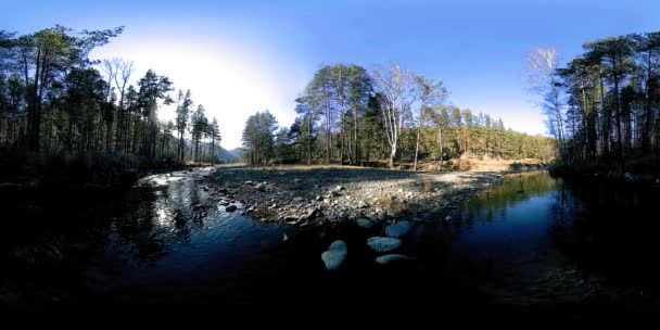 360 VR réalité virtuelle d'une montagne sauvage, pinède et rivière coule. Parc national, prairie et rayons du soleil. — Video