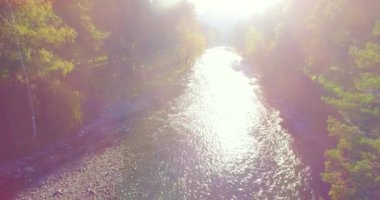 Güneşli yaz sabahında kayalarla birlikte taze, hızlı dağ nehri üzerinde alçak irtifa uçuşu..