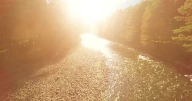 Güneşli yaz sabahında kayalarla birlikte taze, hızlı dağ nehri üzerinde alçak irtifa uçuşu..