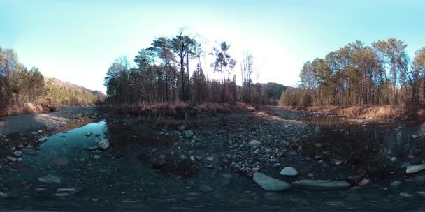 360-минутная виртуальная реальность диких гор, соснового леса и рек. Национальный парк, луга и солнечные лучи. — стоковое видео