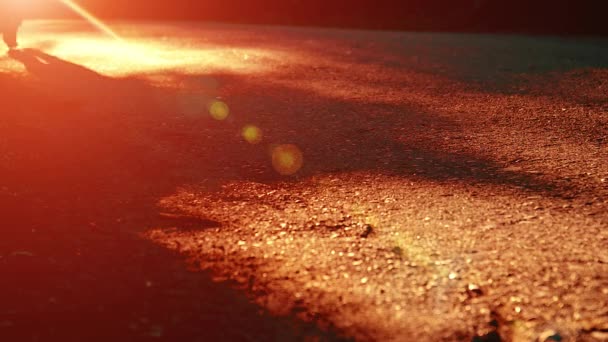 Un uomo sportivo che corre sulla strada asfaltata. Parco urbano rurale. Bosco alberato verde e raggi di sole all'orizzonte. — Video Stock