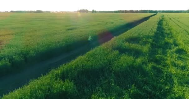 Vista aérea sobre el niño, que monta en bicicleta a través de un campo de hierba de trigo en el viejo camino rural. Luz solar y rayos. — Vídeos de Stock