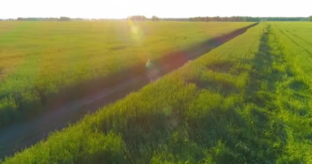 Vista aérea sobre o menino, que monta uma bicicleta através de um campo de grama de trigo na antiga estrada rural. Luz solar e vigas. — Vídeo de Stock