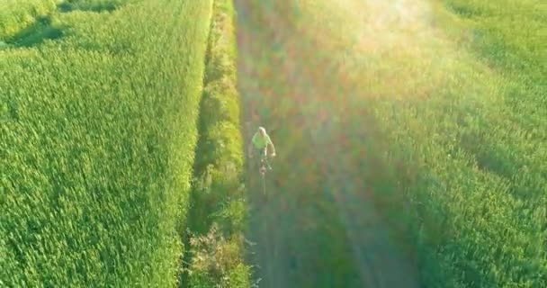 Luchtfoto op jonge jongen, die rijdt op een fiets door een graan grasveld op de oude landelijke weg. Zonlicht en stralen. — Stockvideo