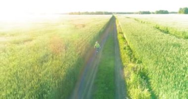 Kırsal yoldaki bir çim tarlasında bisiklet süren genç bir çocuğun hava manzarası. Güneş ışığı ve ışınlar.