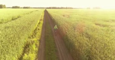 Kırsal yoldaki bir çim tarlasında bisiklet süren genç bir çocuğun hava manzarası. Güneş ışığı ve ışınlar.