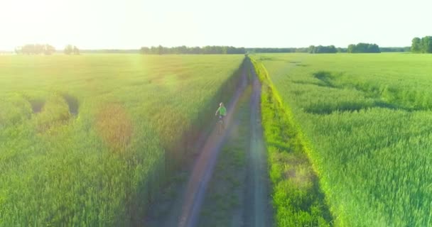 Flygfoto på ung pojke, som rider en cykel genom ett vete gräs fält på den gamla landsvägen. Solljus och strålar. — Stockvideo