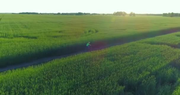 Vista aérea sobre o menino, que monta uma bicicleta através de um campo de grama de trigo na antiga estrada rural. Luz solar e vigas. — Vídeo de Stock