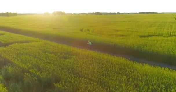 Luftaufnahme eines kleinen Jungen, der mit dem Fahrrad durch ein Weizengrasfeld auf der alten Landstraße fährt. Sonnenlicht und Sonnenstrahlen. — Stockvideo