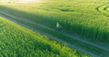 Kırsal yoldaki bir çim tarlasında bisiklet süren genç bir çocuğun hava manzarası. Güneş ışığı ve ışınlar.