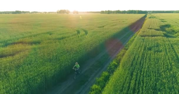 Flygfoto på ung pojke, som rider en cykel genom ett vete gräs fält på den gamla landsvägen. Solljus och strålar. — Stockvideo