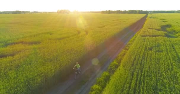 Vista aérea sobre el niño, que monta en bicicleta a través de un campo de hierba de trigo en el viejo camino rural. Luz solar y rayos. — Vídeo de stock