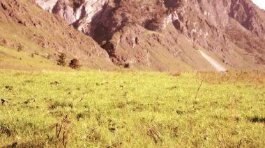 Sırt çantası ile yeşil dağ çayır üzerinde yürüyen adam hiking. Yaz spor ve eğlence kavramı.