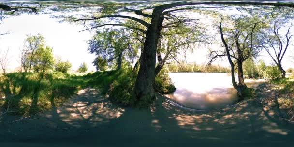 UHD 4K 360 VR La réalité virtuelle d'une rivière coule sur des rochers dans un magnifique paysage de forêt de montagne — Video