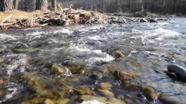 Dolly ormanın yakınındaki bir dağ nehrinde akan suyun kaygan görüntüsü. Islak kayalar ve güneş ışınları. Yatay sabit hareket. Çiğ düz renkler.
