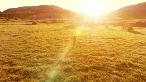 Flight over sport man at perfect green grass meadow. Sunset in mountain — Stock Video