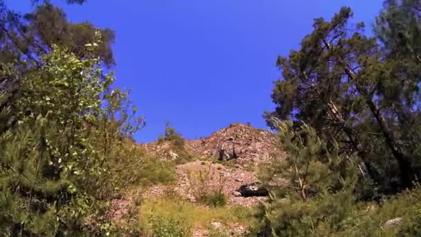 4K UHD timelapse di montagna in estate. Nuvole alberi verdi e raggi del sole movimento. — Video Stock