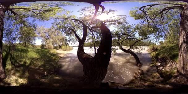 UHD 4K 360 VR Virtual Reality of a river flows over rocks in beautiful mountain forest landscape — Stock Video