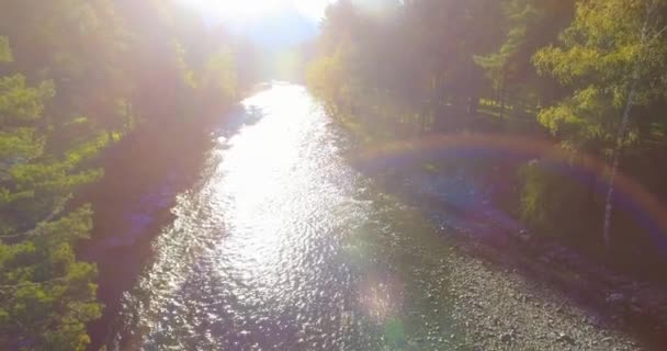 Low altitude flight over fresh fast mountain river with rocks at sunny summer morning. — Stock Video