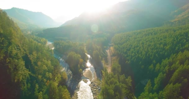 Vol à basse altitude au-dessus d'une rivière de montagne fraîche et rapide avec des rochers au soleil matin d'été. — Video