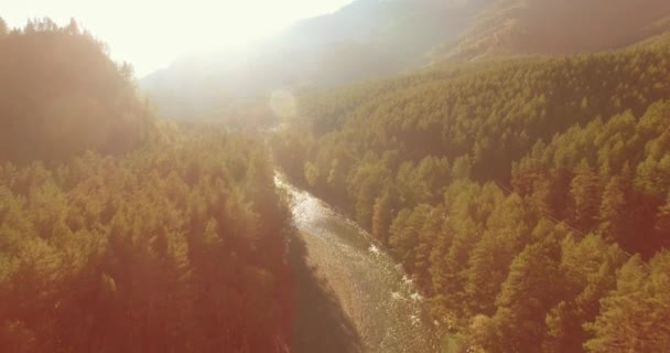 Laaggelegen vlucht over verse snelle bergrivier met rotsen op zonnige zomerochtend. — Stockvideo