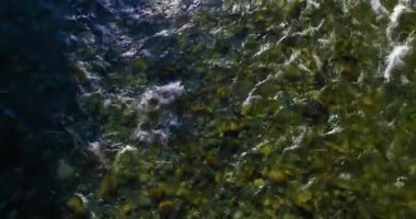 Güneşli yaz sabahında kayalarla birlikte taze, hızlı dağ nehri üzerinde alçak irtifa uçuşu..