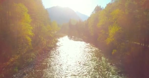 Volo a bassa quota sul fresco fiume di montagna veloce con rocce al soleggiato mattino d'estate. — Video Stock