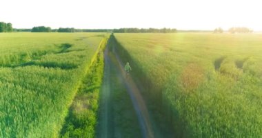 Kırsal yoldaki bir çim tarlasında bisiklet süren genç bir çocuğun hava manzarası. Güneş ışığı ve ışınlar.