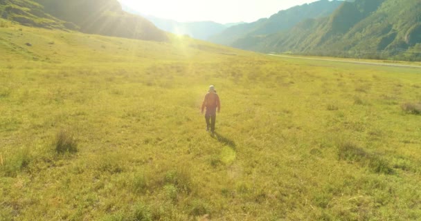 Vol au-dessus du sac à dos randonnée touristique marche à travers le champ de montagne vert. Vallée rurale énorme au jour d'été. — Video