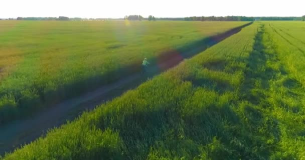 Vue aérienne sur le jeune garçon, qui monte à vélo à travers un champ d'herbe de blé sur la vieille route rurale. Lumière du soleil et rayons. — Video