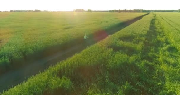 少年は、古い農村部の道路上のコムギの芝生のフィールドを介して自転車に乗るの空中ビュー。日光と梁. — ストック動画