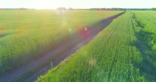 Vista aérea sobre o menino, que monta uma bicicleta através de um campo de grama de trigo na antiga estrada rural. Luz solar e vigas. — Vídeo de Stock