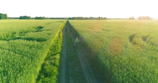 Vista aérea sobre o menino, que monta uma bicicleta através de um campo de grama de trigo na antiga estrada rural. Luz solar e vigas. — Vídeo de Stock