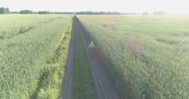 Kırsal yoldaki bir çim tarlasında bisiklet süren genç bir çocuğun hava manzarası. Güneş ışığı ve ışınlar.