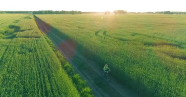 Kırsal yoldaki bir çim tarlasında bisiklet süren genç bir çocuğun hava manzarası. Güneş ışığı ve ışınlar.
