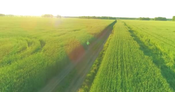 Luftaufnahme eines kleinen Jungen, der mit dem Fahrrad durch ein Weizengrasfeld auf der alten Landstraße fährt. Sonnenlicht und Sonnenstrahlen. — Stockvideo