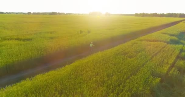 Vue aérienne sur le jeune garçon, qui monte à vélo à travers un champ d'herbe de blé sur la vieille route rurale. Lumière du soleil et rayons. — Video